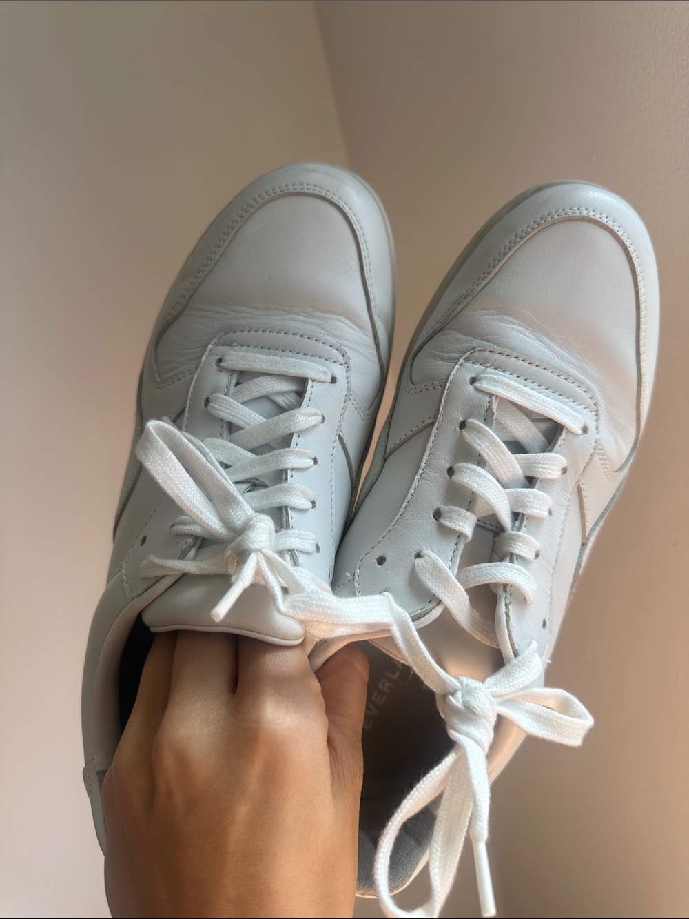 Everlane Court Women's White Leather Sneakers